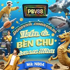 roy
el bd bet